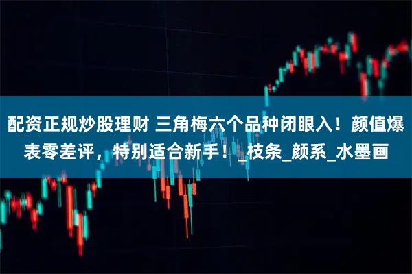配资正规炒股理财 三角梅六个品种闭眼入！颜值爆表零差评，特别适合新手！_枝条_颜系_水墨画