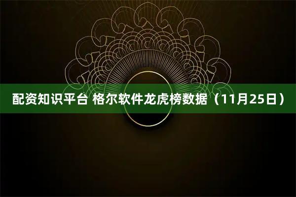 配资知识平台 格尔软件龙虎榜数据（11月25日）